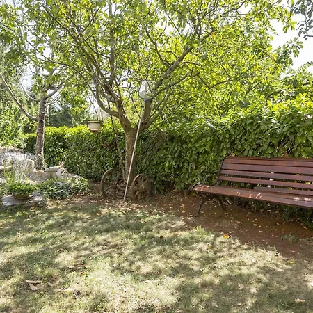 Vinez 7471a * Labin (Istria)